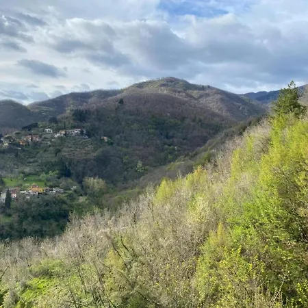 Cosy Forno In Pelago With Swimming Pool * Donnini