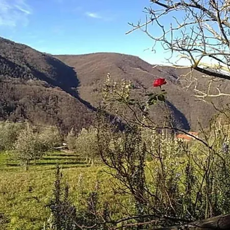 Cosy Forno In Pelago With Swimming Pool Nyaraló