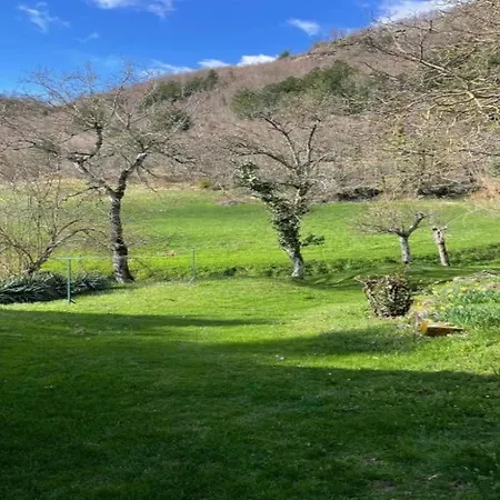 Cosy Forno In Pelago With Swimming Pool