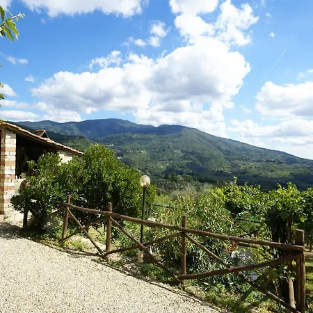 Nyaraló Cosy Forno In Pelago With Swimming Pool
