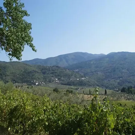 Cosy Forno In Pelago With Swimming Pool